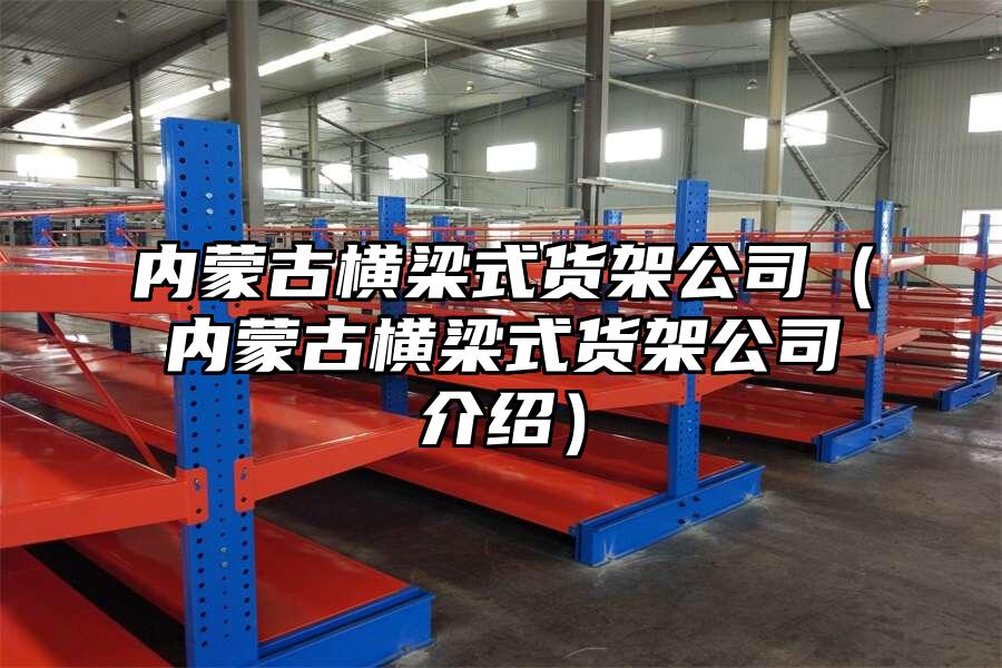 內蒙古橫梁式貨架公司（內蒙古橫梁式貨架公司介紹）