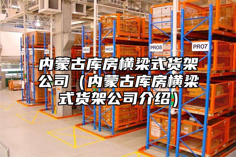 內(nèi)蒙古庫房橫梁式貨架公司（內(nèi)蒙古庫房橫梁式貨架公司介紹）