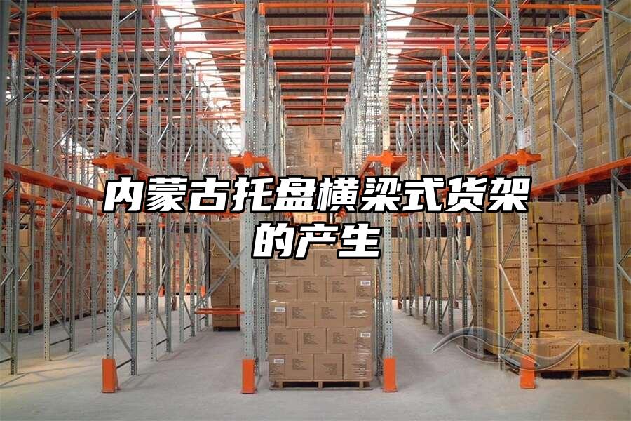 內蒙古托盤橫梁式貨架的產生