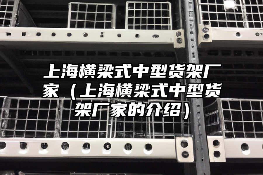 上海橫梁式中型貨架廠家（上海橫梁式中型貨架廠家的介紹）