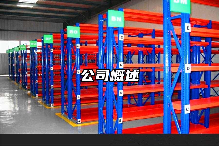 公司概述