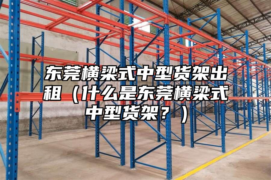 東莞橫梁式中型貨架出租（什么是東莞橫梁式中型貨架？）