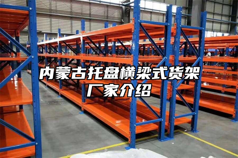 內蒙古托盤橫梁式貨架廠家介紹