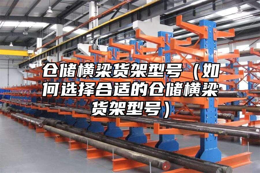 倉儲橫梁貨架型號（如何選擇合適的倉儲橫梁貨架型號）