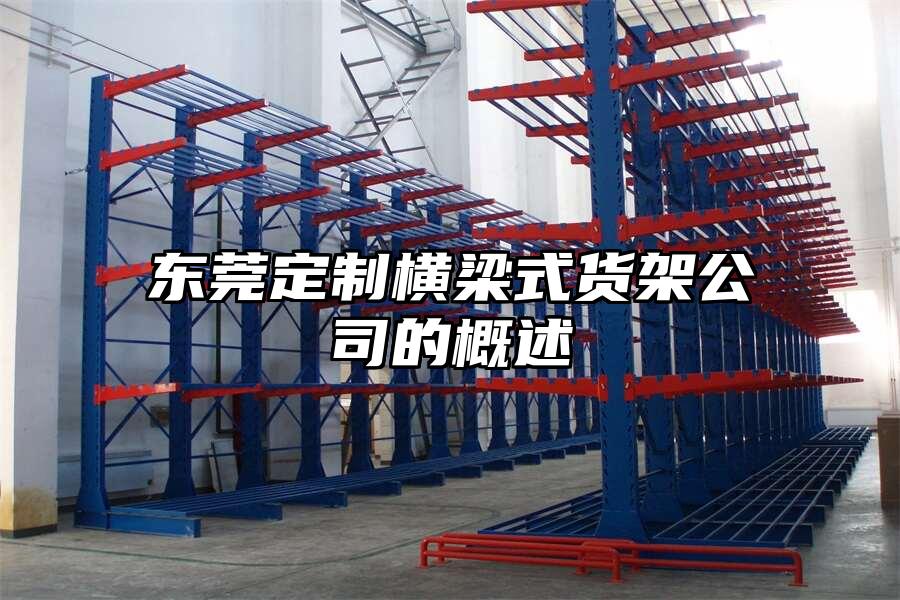 東莞定制橫梁式貨架公司的概述