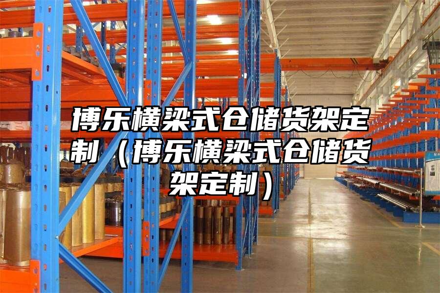 博樂橫梁式倉儲貨架定制（博樂橫梁式倉儲貨架定制）