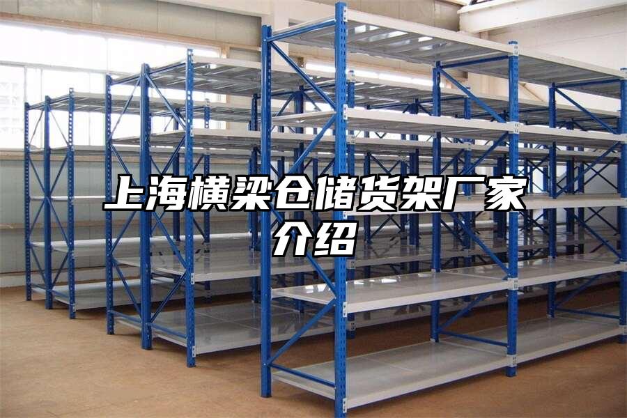 上海橫梁倉儲貨架廠家介紹