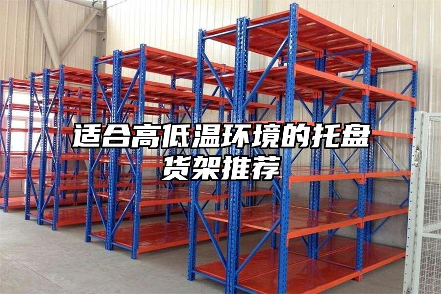 適合高低溫環境的托盤貨架推薦