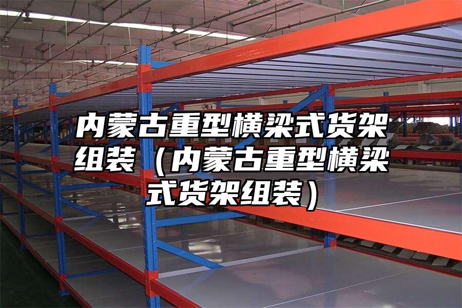 內(nèi)蒙古重型橫梁式貨架組裝（內(nèi)蒙古重型橫梁式貨架組裝）
