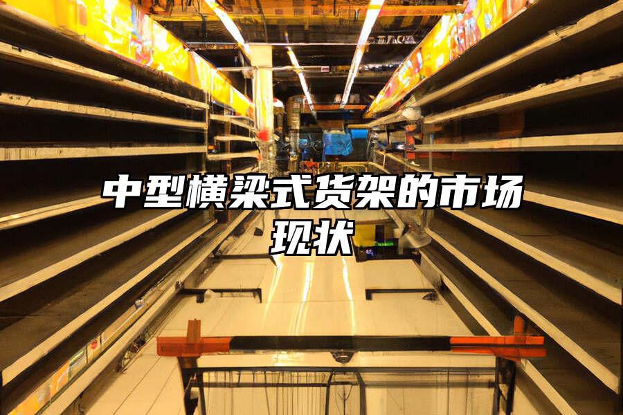 中型橫梁式貨架的市場現狀