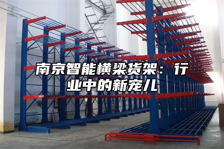 南京智能橫梁貨架：行業中的新寵兒