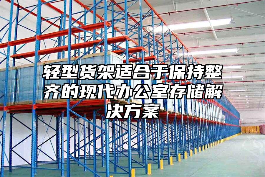 輕型貨架適合于保持整齊的現代辦公室存儲解決方案