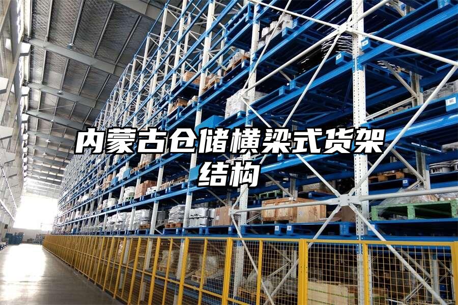 內蒙古倉儲橫梁式貨架結構
