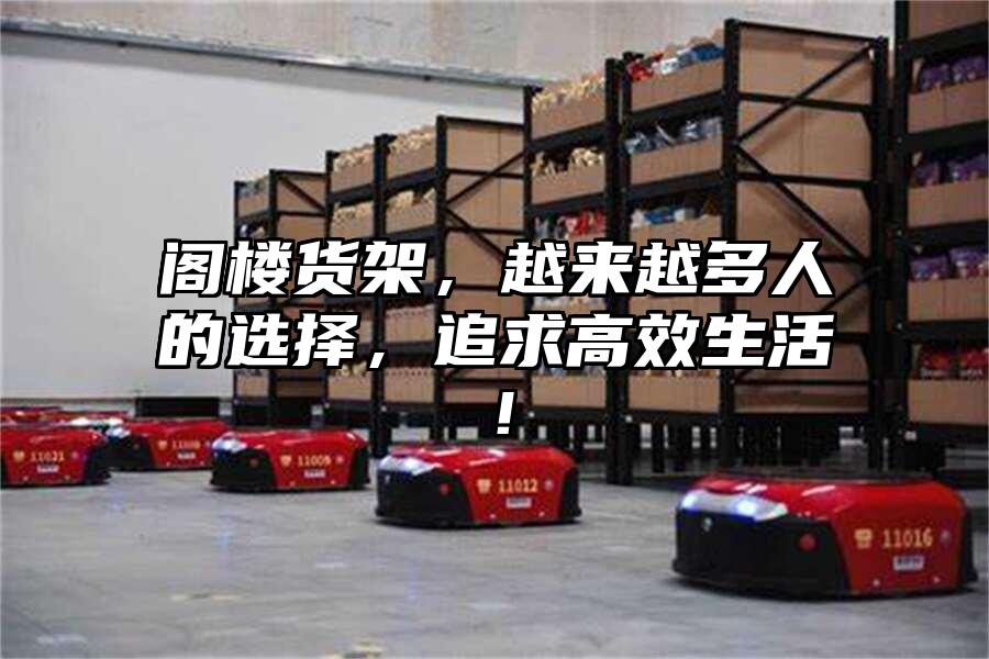 閣樓貨架，越來越多人的選擇，追求高效生活！