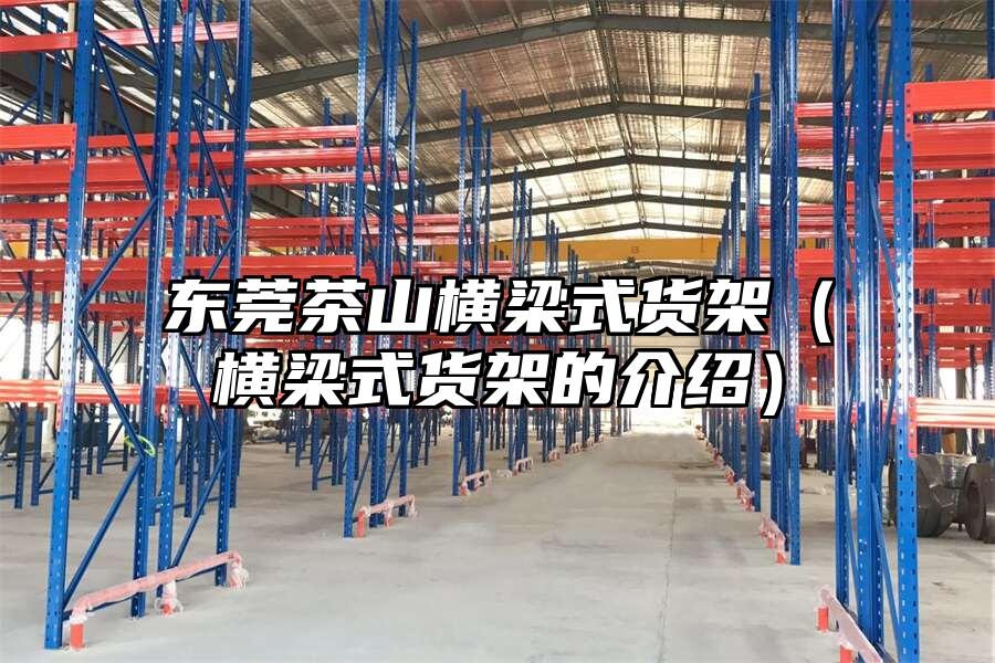 東莞茶山橫梁式貨架（橫梁式貨架的介紹）