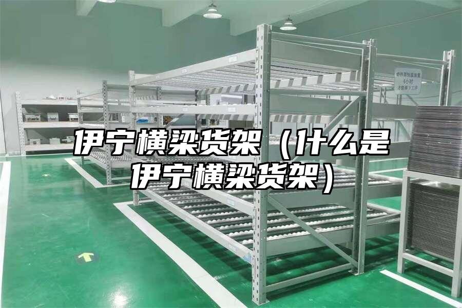 伊寧橫梁貨架（什么是伊寧橫梁貨架）