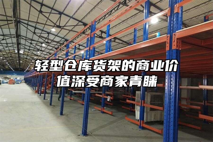 輕型倉庫貨架的商業價值深受商家青睞