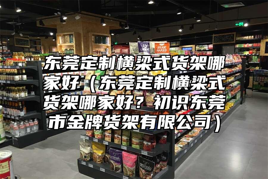 東莞定制橫梁式貨架哪家好（東莞定制橫梁式貨架哪家好？初識東莞市金牌貨架有限公司）