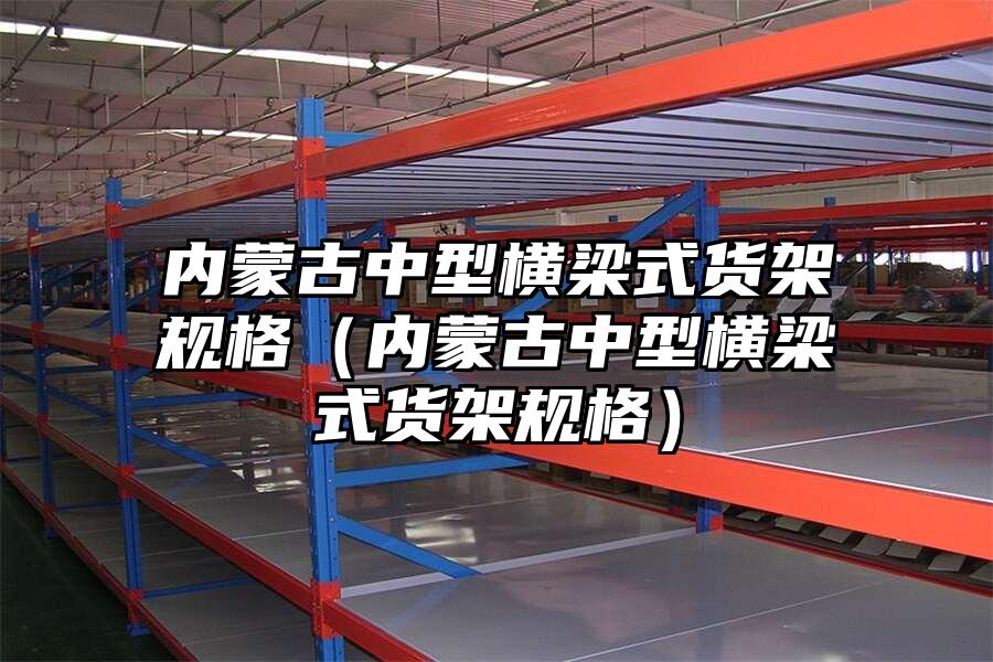 內(nèi)蒙古中型橫梁式貨架規(guī)格（內(nèi)蒙古中型橫梁式貨架規(guī)格）