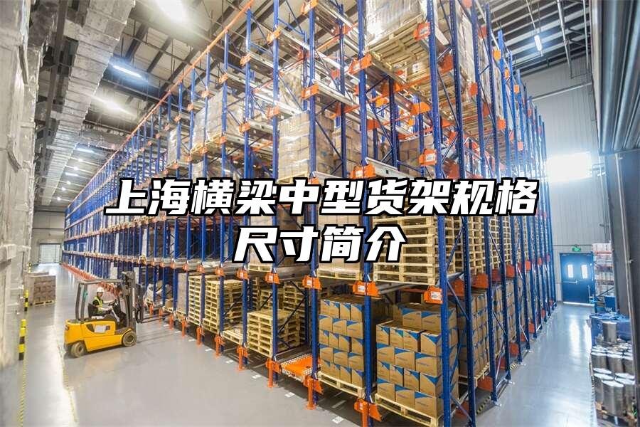 上海橫梁中型貨架規格尺寸簡介