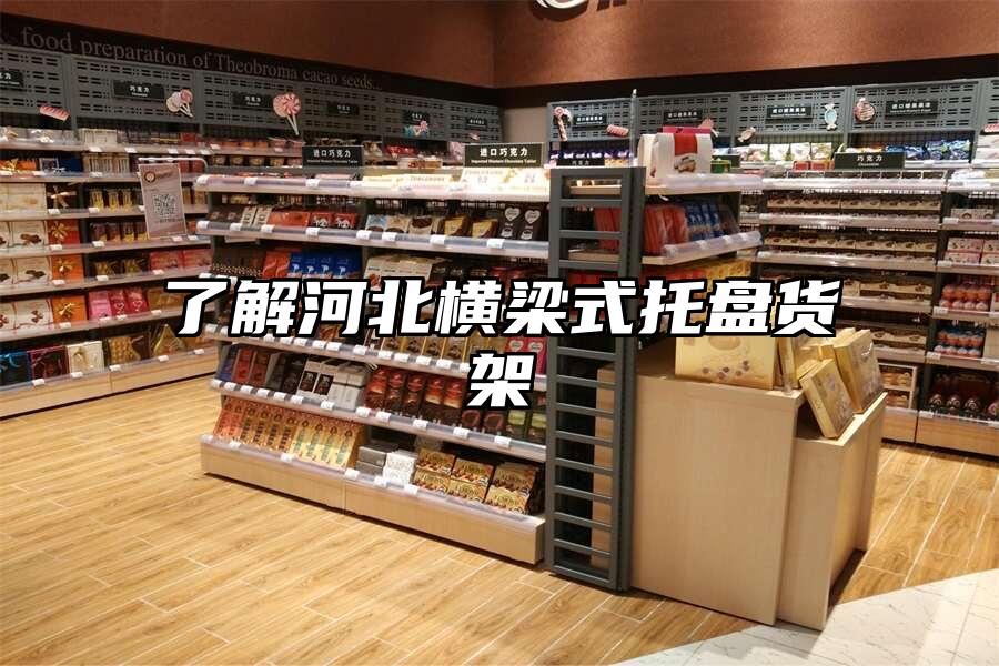 了解河北橫梁式托盤貨架