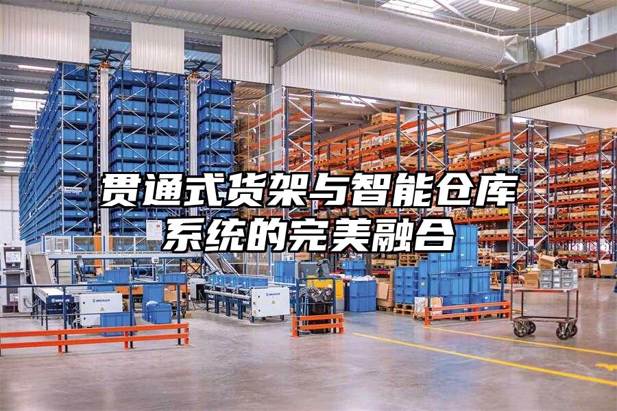 貫通式貨架與智能倉庫系統的完美融合