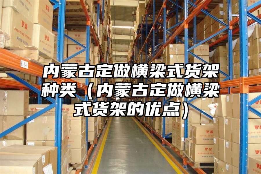 內蒙古定做橫梁式貨架種類（內蒙古定做橫梁式貨架的優點）
