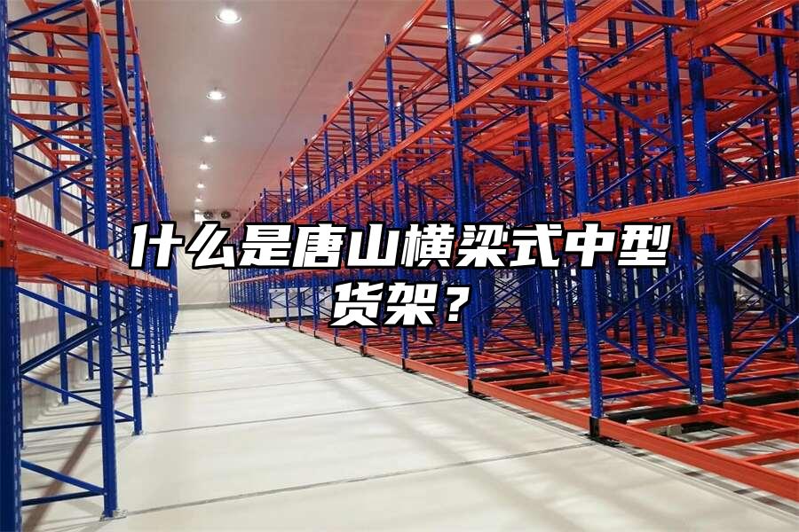 什么是唐山橫梁式中型貨架？