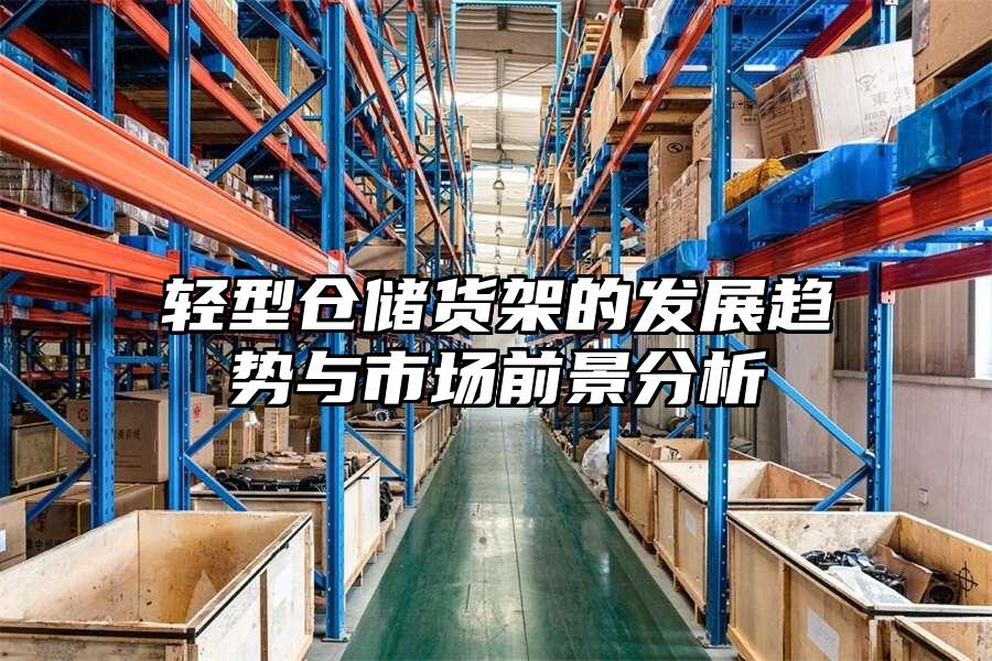 輕型倉儲貨架的發(fā)展趨勢與市場前景分析
