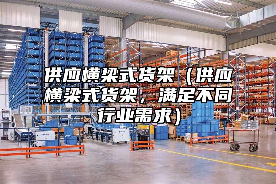 供應橫梁式貨架（供應橫梁式貨架，滿足不同行業需求）