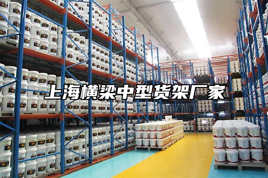 上海橫梁中型貨架廠家