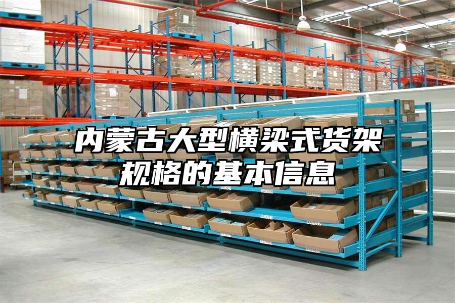 內(nèi)蒙古大型橫梁式貨架規(guī)格的基本信息
