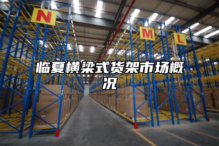 臨夏橫梁式貨架市場概況