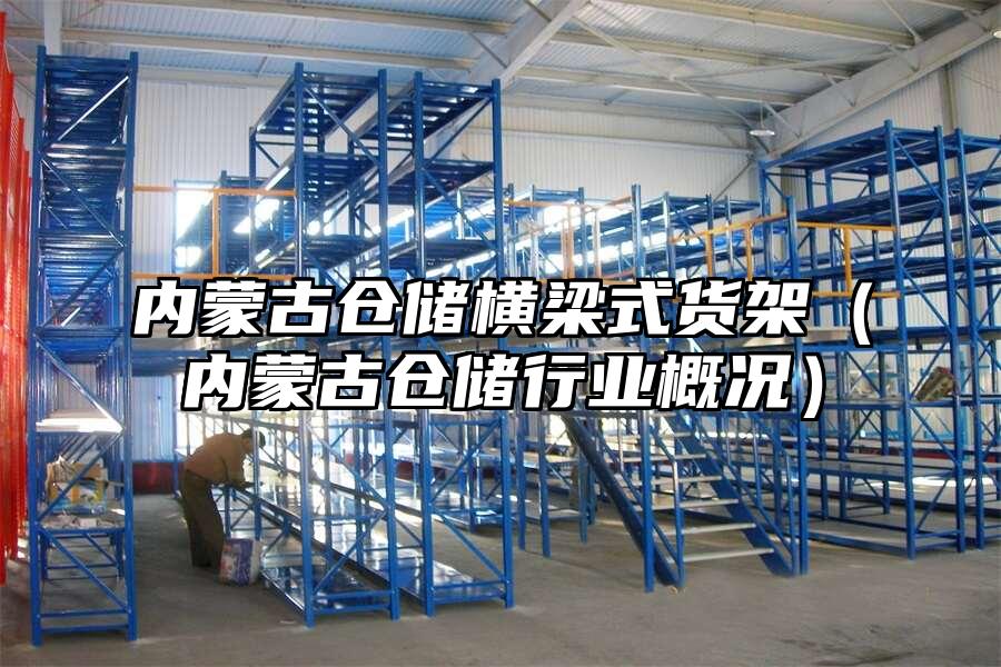 內蒙古倉儲橫梁式貨架（內蒙古倉儲行業概況）