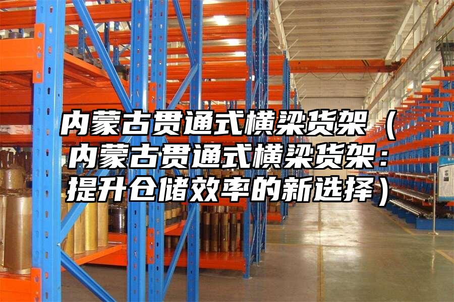 內(nèi)蒙古貫通式橫梁貨架（內(nèi)蒙古貫通式橫梁貨架：提升倉儲(chǔ)效率的新選擇）