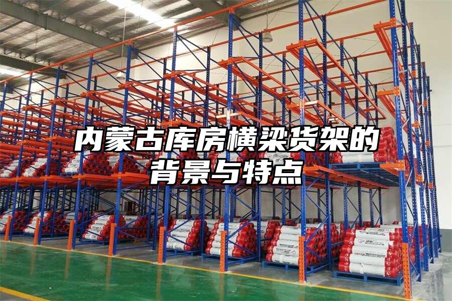 內蒙古庫房橫梁貨架的背景與特點