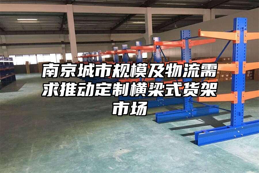 南京城市規模及物流需求推動定制橫梁式貨架市場