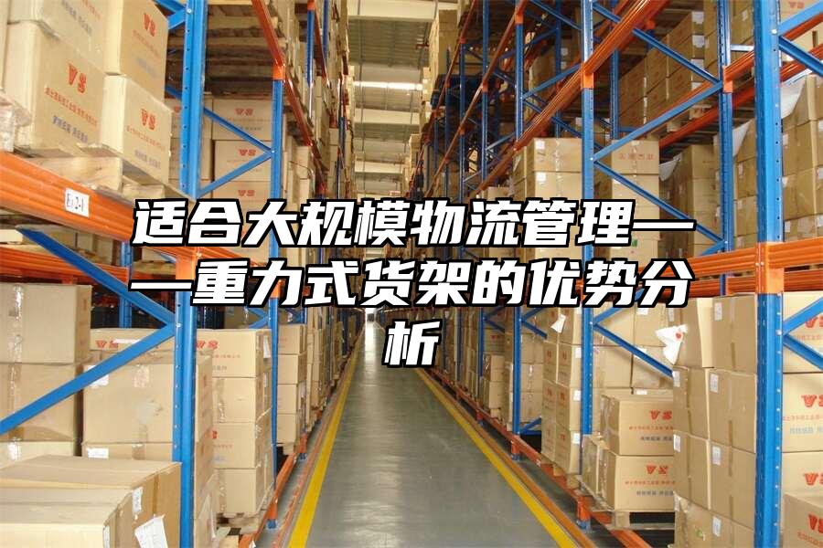 適合大規(guī)模物流管理——重力式貨架的優(yōu)勢分析