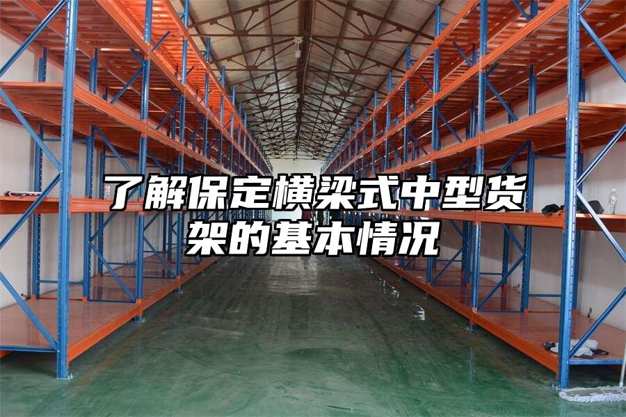 了解保定橫梁式中型貨架的基本情況