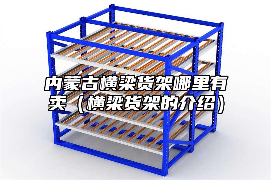內蒙古橫梁貨架哪里有賣（橫梁貨架的介紹）