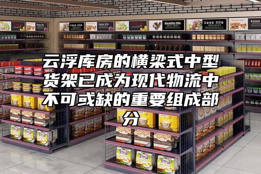 云浮庫房的橫梁式中型貨架已成為現代物流中不可或缺的重要組成部分