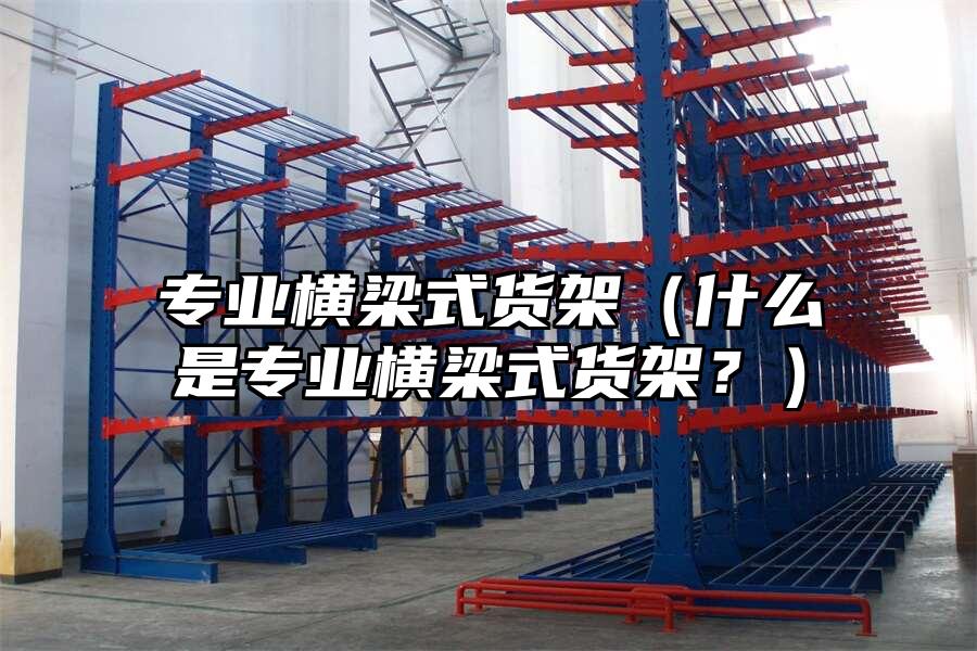 專業橫梁式貨架（什么是專業橫梁式貨架？）