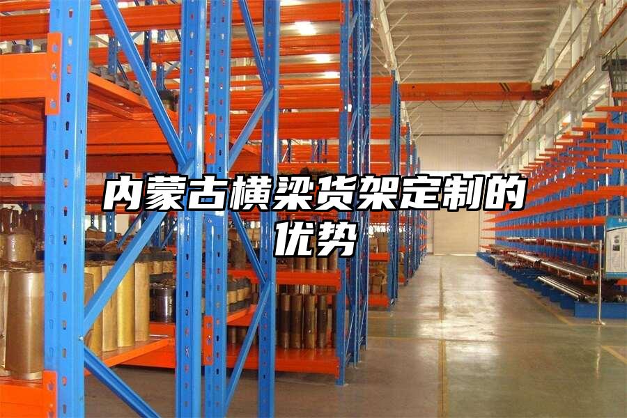 內(nèi)蒙古橫梁貨架定制的優(yōu)勢