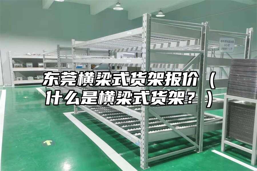 東莞橫梁式貨架報價（什么是橫梁式貨架？）