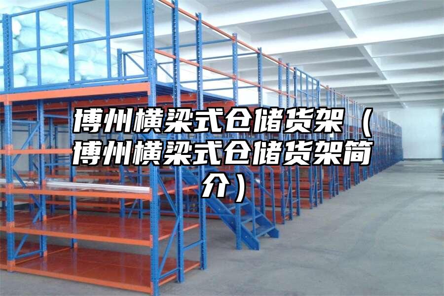 博州橫梁式倉儲貨架（博州橫梁式倉儲貨架簡介）