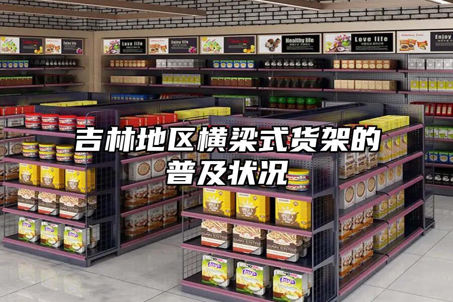 吉林地區橫梁式貨架的普及狀況