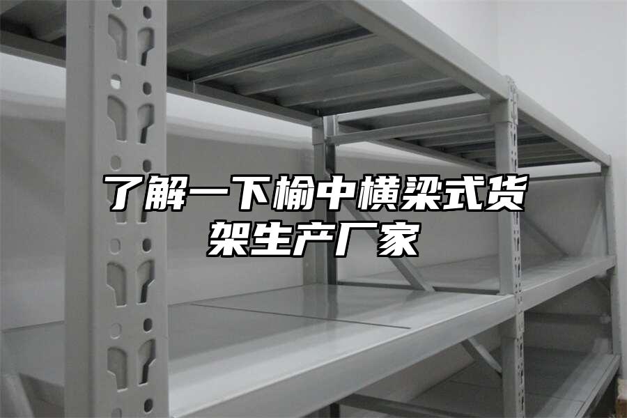 了解一下榆中橫梁式貨架生產(chǎn)廠家